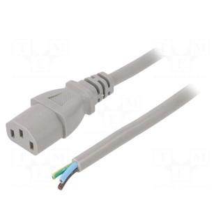 Cable | 3x1mm2 | IEC C13 female,wires | PVC | 5m | grey | 10A | 250V
