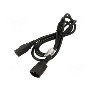 Cable | 3x1mm2 | IEC C14 male,IEC C15 female | PVC | 1.8m | black | 10A