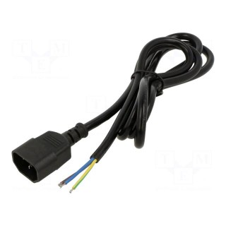 Cable | 3x0.5mm2 | IEC C14 male,wires | PVC | 1.5m | black | 250V