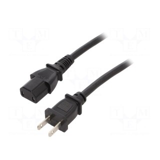 Cable | 2x18AWG | IEC C17 female,NEMA 1-15 (A) plug | PVC | 2.5m