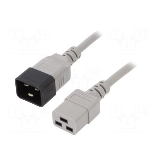 Cable | 3x1.5mm2 | IEC C19 female,IEC C20 male | PVC | 1m | grey | 16A