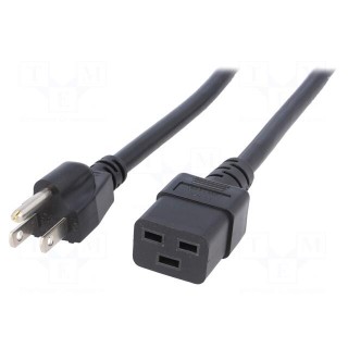 Cable | NEMA 5-15 (B) plug,IEC C19 female | 1.5m | black | PVC | 15A