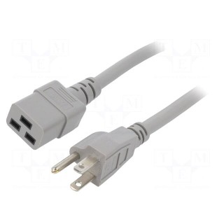 Cable | 3x14AWG | IEC C19 female,NEMA 5-15 (B) plug | PVC | 1.5m