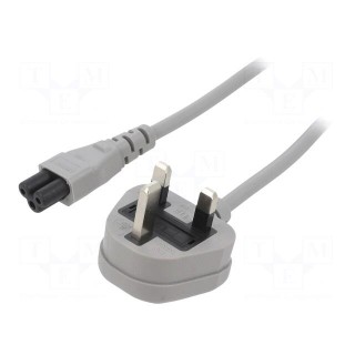 Cable | 3x14AWG | IEC C19 female,NEMA 5-15 (B) plug | PVC | 1.5m