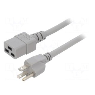 Cable | 3x14AWG | IEC C19 female,NEMA 5-15 (B) plug | PVC | 1.8m