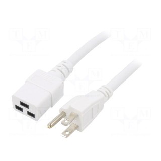 Cable | 3x14AWG | IEC C19 female,NEMA 5-15 (B) plug | PVC | 1m | white