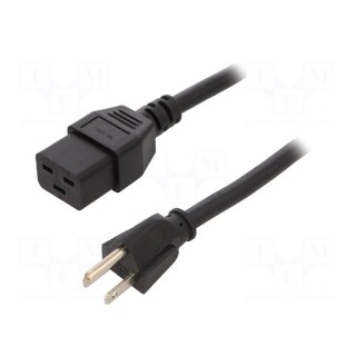 Cable | 3x14AWG | IEC C19 female,NEMA 5-15 (B) plug | PVC | 2.5m