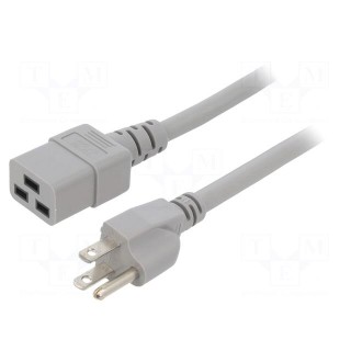 Cable | 3x14AWG | IEC C19 female,NEMA 5-15 (B) plug | PVC | 2m | grey