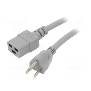 Cable | 3x14AWG | IEC C19 female,NEMA 5-15 (B) plug | PVC | 3m | grey