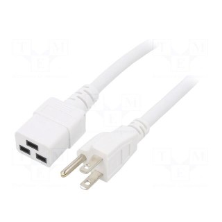 Cable | 3x14AWG | IEC C19 female,NEMA 5-15 (B) plug | PVC | 3m | white