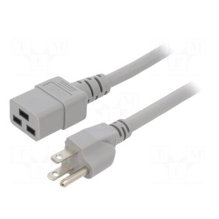 Cable | 3x14AWG | IEC C19 female,NEMA 5-15 (B) plug | PVC | 5m | grey