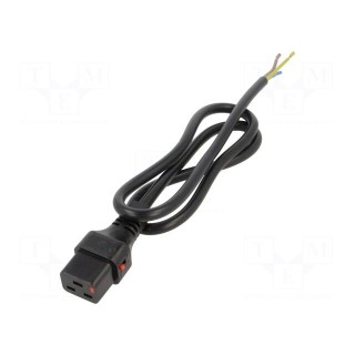 Cable | IEC C19 female,wires | 1m | with IEC LOCK locking | black