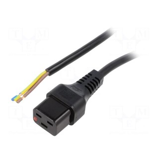 Cable | IEC C19 female,wires | 2m | with IEC LOCK locking | black