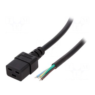 Cable | IEC C19 female,wires | Len: 3m | black | PVC | 3G1,5mm2