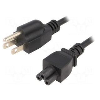 Cable | NEMA 5-15 (B) plug,IEC C5 female | 1.8m | black | PVC | 2.5A