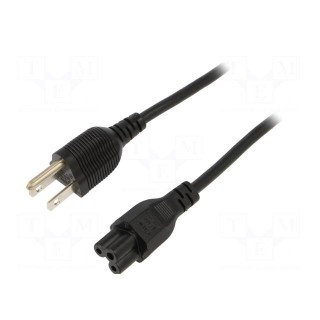 Cable | 3x0.75mm2 | IEC C5 female,NEMA 5-15 (B) plug | PVC | 1.8m
