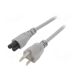 Cable | 3x18AWG | IEC C5 female,NEMA 5-15 (B) plug | PVC | 1.8m | grey