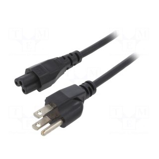 Cable | 3x18AWG | IEC C5 female,NEMA 5-15 (B) plug | PVC | 1m | black