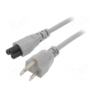 Cable | 3x18AWG | IEC C5 female,NEMA 5-15 (B) plug | PVC | 3m | grey