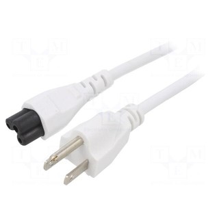 Cable | 3x18AWG | IEC C5 female,NEMA 5-15 (B) plug | PVC | 1m | white