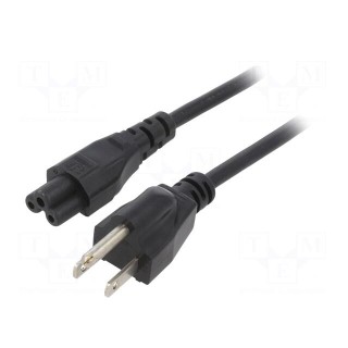 Cable | 3x18AWG | IEC C5 female,NEMA 5-15 (B) plug | PVC | 3m | black