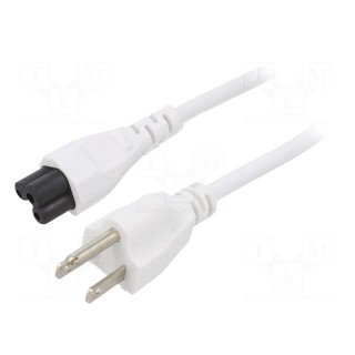 Cable | 3x18AWG | IEC C5 female,NEMA 5-15 (B) plug | PVC | 3m | white