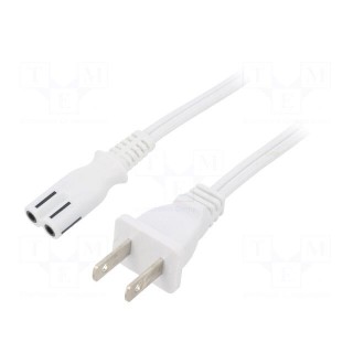 Cable | 2x18AWG | IEC C7 female,NEMA 1-15 (A) plug | PVC | 3m | white