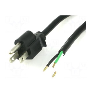Cable | 3x18AWG | NEMA 5-15 (B) plug,wires | PVC | 2m | black | 10A | 125V