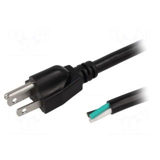 Cable | NEMA 5-15 (B) plug,wires | 3.5m | black | PVC | 3x14AWG | 15A