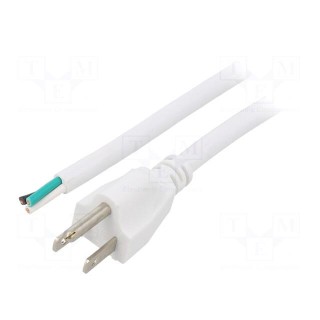 Cable | 3x16AWG | NEMA 5-15 (B) plug,wires | PVC | 1.5m | white | 13A