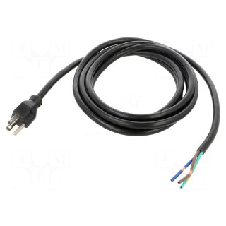 Cable | 3x14AWG | NEMA 5-15 (B) plug,wires | PVC | 3m | black | 15A | 125V