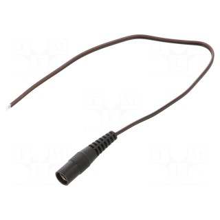 Cable | 2x0.35mm2 | wires,DC 5,5/2,1 socket | straight | black | 0.25m