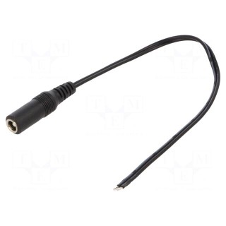 Cable | 2x0.5mm2 | wires,DC 5,5/2,5 socket | straight | black | 0.25m