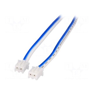 Cable | both sides,XHP-2 | blue/white | 3m