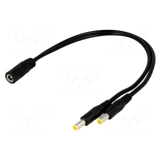 Cable | DC 5,5/2,1 socket,DC 5,5/2,1 plug x2 | straight | 0.5mm2