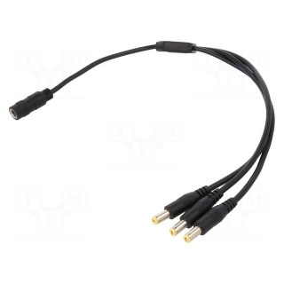 Cable | 2x0.5mm2 | DC 5,5/2,1 plug x3,DC 5,5/2,1 socket | straight