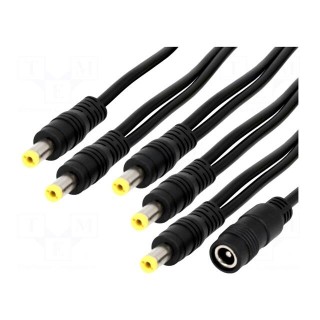 Cable | DC 5,5/2,1 socket,DC 5,5/2,1 plug x5 | straight | 0.5mm2