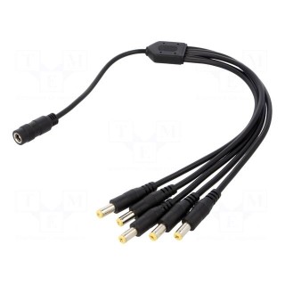 Cable | 2x0.5mm2 | DC 5,5/2,1 plug x5,DC 5,5/2,1 socket | straight