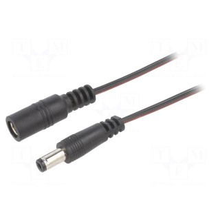 Cable | 2x0.35mm2 | DC 5,5/2,1 plug,DC 5,5/2,1 socket | straight