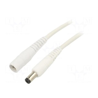 Cable | 1x1mm2 | DC 5,5/2,1 plug,DC 5,5/2,5 plug | straight | white