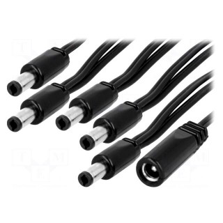 Cable | DC 5,5/2,5 socket,DC 5,5/2,5 plug x5 | straight | 0.5mm2