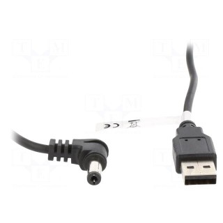 Cable | USB A plug,DC 5,5/2,1 plug | black | 0.5m | Core: Cu
