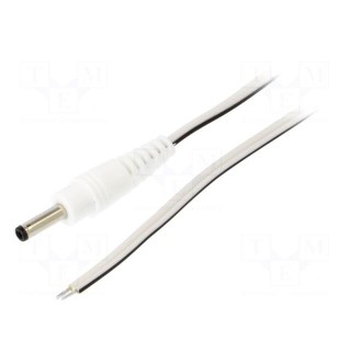 Cable | 2x0.35mm2 | wires,DC 3,5/1,3 plug | straight | white | 0.5m