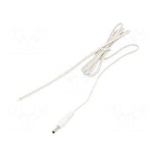 Cable | 2x0.35mm2 | wires,DC 3,5/1,3 plug | straight | white | 1.5m