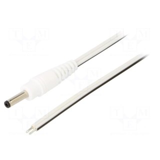 Cable | 2x0.5mm2 | wires,DC 3,5/1,3 plug | straight | white | 0.5m
