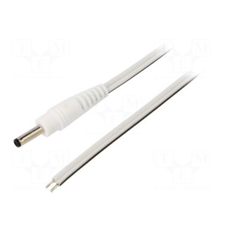 Cable | 2x0.5mm2 | wires,DC 3,5/1,3 plug | straight | white | 1.5m