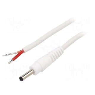 Cable | 1x1mm2 | wires,DC 3,5/1,3 plug | straight | white | 0.5m