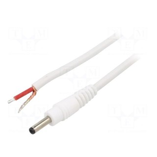 Cable | 1x1mm2 | wires,DC 3,5/1,3 plug | straight | white | 1.5m