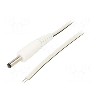 Cable | 2x0.35mm2 | wires,DC 4,0/1,7 plug | straight | white | 0.5m