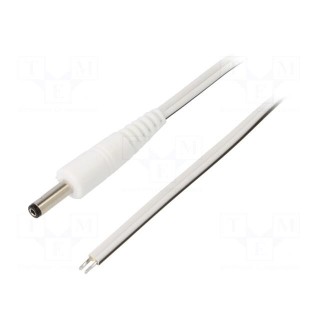 Cable | 2x0.5mm2 | wires,DC 4,0/1,7 plug | straight | white | 0.5m